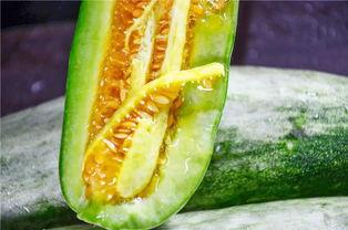 网红瓜吃瓜网,揭秘娱乐圈幕后真相，带你领略网络红人风云